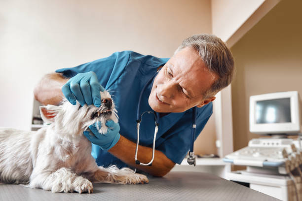Best Emergency Dental Extractions in Aventura, FL